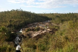 Belize: Mountain Pine Ridge Tour with Waterfalls