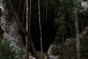 Belize: Mountain Pine Ridge Tour with Waterfalls