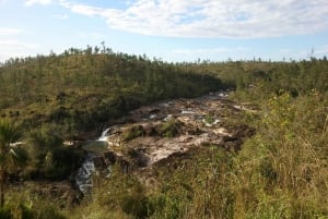 Belize: Mountain Pine Ridge Tour with Waterfalls