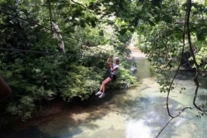 Belize: Zip Line Canopy Tours