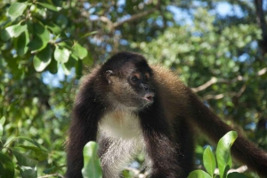 Belice: Excursión de Aventura al Zoo