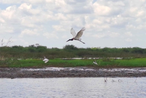 Belice salvaje: aventura en el zoo y encuentro con animales