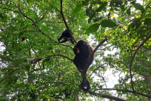 Belice salvaje: aventura en el zoo y encuentro con animales