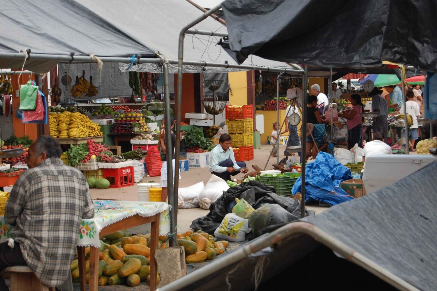 Best of San Ignacio Day Tour: Culture & Wildlife