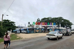 Best of San Ignacio Day Tour: Culture & Wildlife