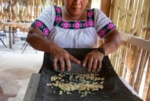 Best of San Ignacio Day Tour: Culture & Wildlife