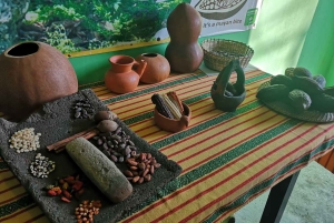 Best of San Ignacio Day Tour: Culture & Wildlife