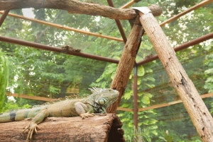 Best of San Ignacio Day Tour: Culture & Wildlife