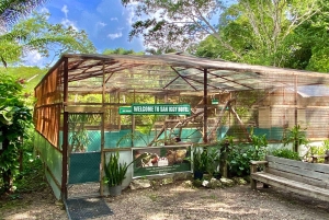 Best of San Ignacio Day Tour: Culture & Wildlife