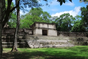 Best of San Ignacio Day Tour: Culture & Wildlife