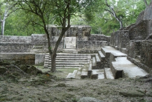 Best of San Ignacio Day Tour: Culture & Wildlife