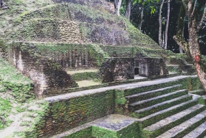 Best of San Ignacio Day Tour: Culture & Wildlife