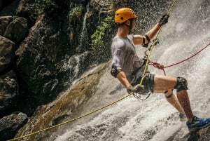 Bocawina Rainforest: Extreme Waterfall Rappelling