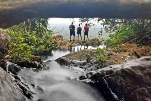 Bocawina Rainforest: Extreme Waterfall Rappelling