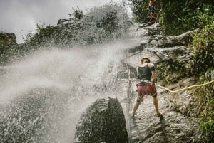 Bocawina Rainforest: Extreme Waterfall Rappelling