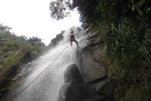 Bocawina Rainforest: Extreme Waterfall Rappelling