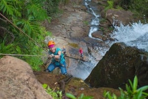 Bocawina Rainforest: Extreme Waterfall Rappelling