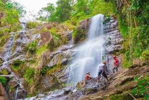 Bocawina Rainforest: Extreme Waterfall Rappelling