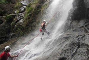 Bocawina Rainforest: Extreme Waterfall Rappelling