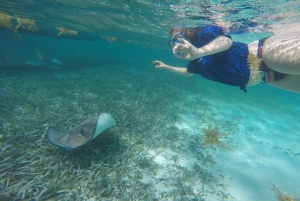 Caye Caulker: 7-Stop Snorkeling in the Belize Barrier Reef