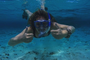 Caye Caulker: 7-Stop Snorkeling in the Belize Barrier Reef