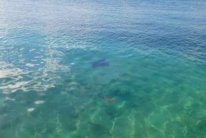 Cayo Caulker: medio día de snorkel y paseo en barco al atardecer