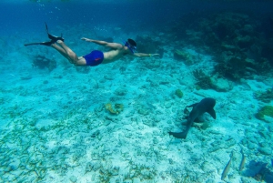 Caye Caulker: Hol Chan Marine Reserve 7-Stop Snorkeling Tour
