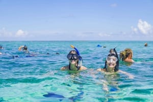Caye Caulker: Excursión de 7 paradas para hacer snorkel en la Reserva Marina de Hol Chan
