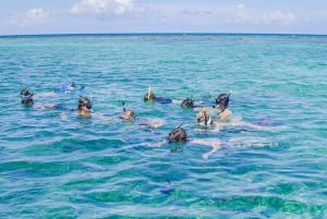 Caye Caulker: Excursión de 7 paradas para hacer snorkel en la Reserva Marina de Hol Chan