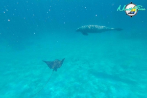 Caye Caulker: Hol Chan Marine Reserve Small-Group Tour