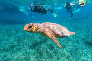 Caye Caulker: Hol Chan Marine Reserve Small-Group Tour