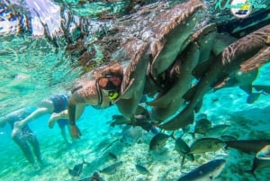 Things to do in Caye Caulker