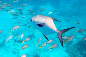 Caye Caulker: snorkel en Hol-Chan y visita a la isla de San Pedro