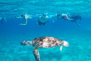 Caye Caulker: Hol-Chan Snorkeling & San Pedro Tour w/ Lunch