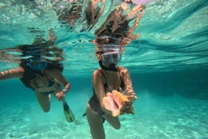 Caye Caulker: Local Reef Half-Day 3-Stop Snorkeling Tour