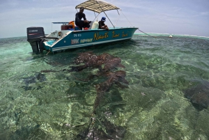 Caye Caulker: Local Reef Half-Day 3-Stop Snorkeling Tour