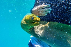 Things to do in Caye Caulker
