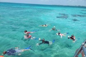 Caye Caulker Marine Reserve Half Day Snorkeling Adventure