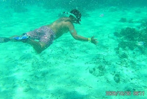 Caye Caulker Marine Reserve Half Day Snorkeling Adventure