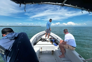 Caye Caulker Marine Reserve Half Day Snorkeling Adventure