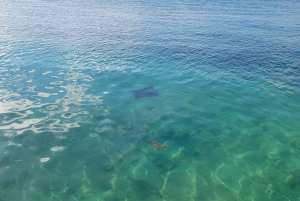 Caye Caulker Marine Reserve Half Day Snorkeling Adventure