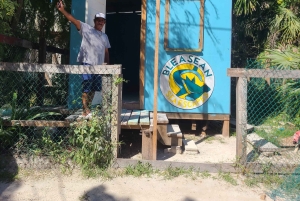 Caye Caulker Marine Reserve Half Day Snorkeling Adventure