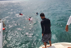 Caye Caulker Marine Reserve Half Day Snorkeling Adventure