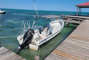 Caye Caulker Marine Reserve Half Day Snorkeling Adventure