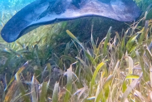 Caye Caulker: Private Full-Day Hol Chan Snorkel Tour