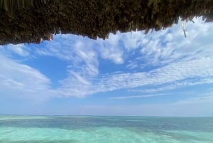 Caye Caulker: Tiki Bar Pontoon Boat Cruises
