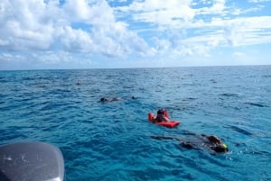 San Pedro: Snorkeling Trip with 4 Stops, Sharks, and Lunch