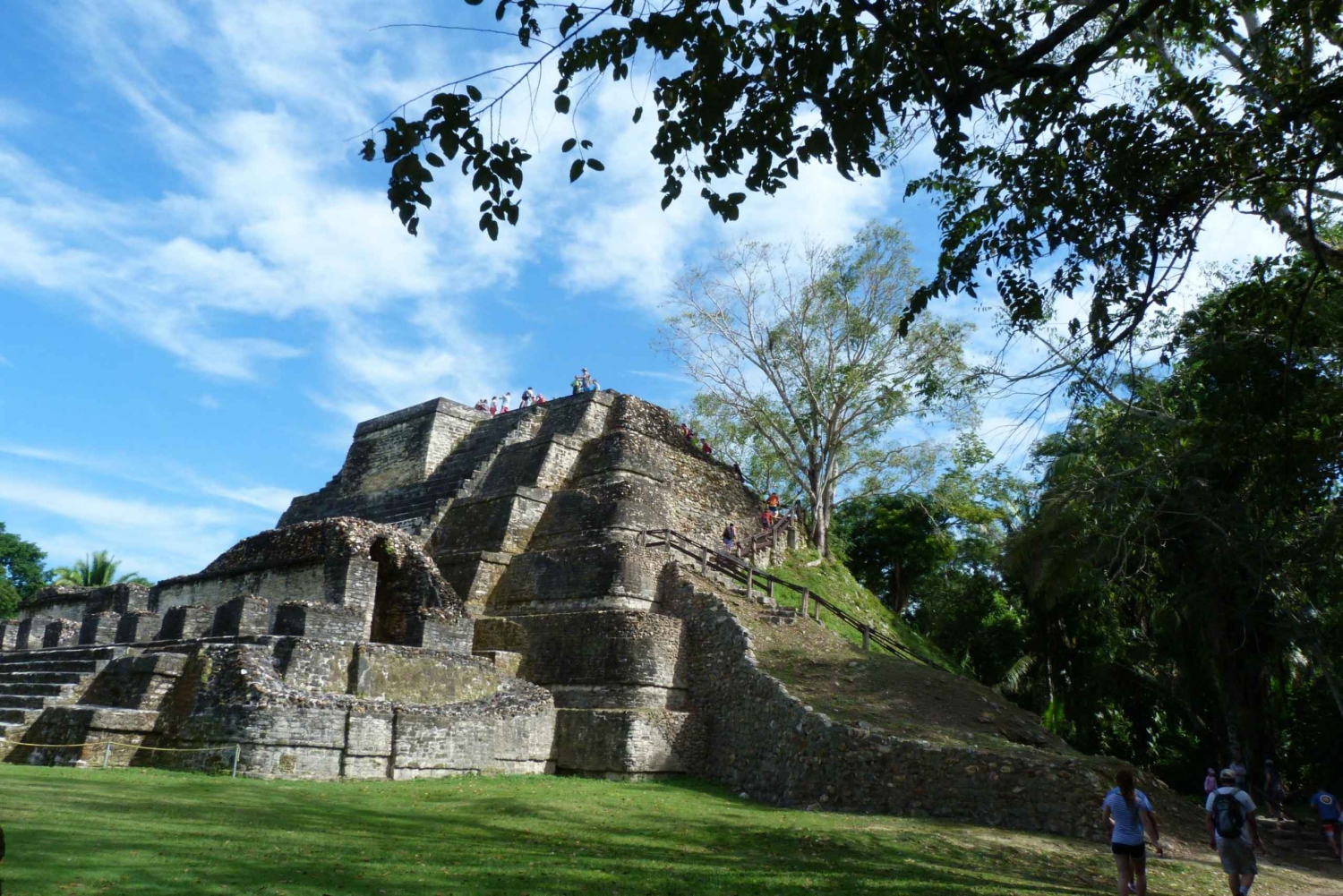 From Belize City: Altun Ha and Belize Zoo Adventure