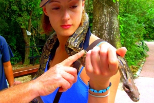 Best tours in Belize City