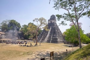 From Belize: Tikal Day Trip with Lunch and Border Crossing